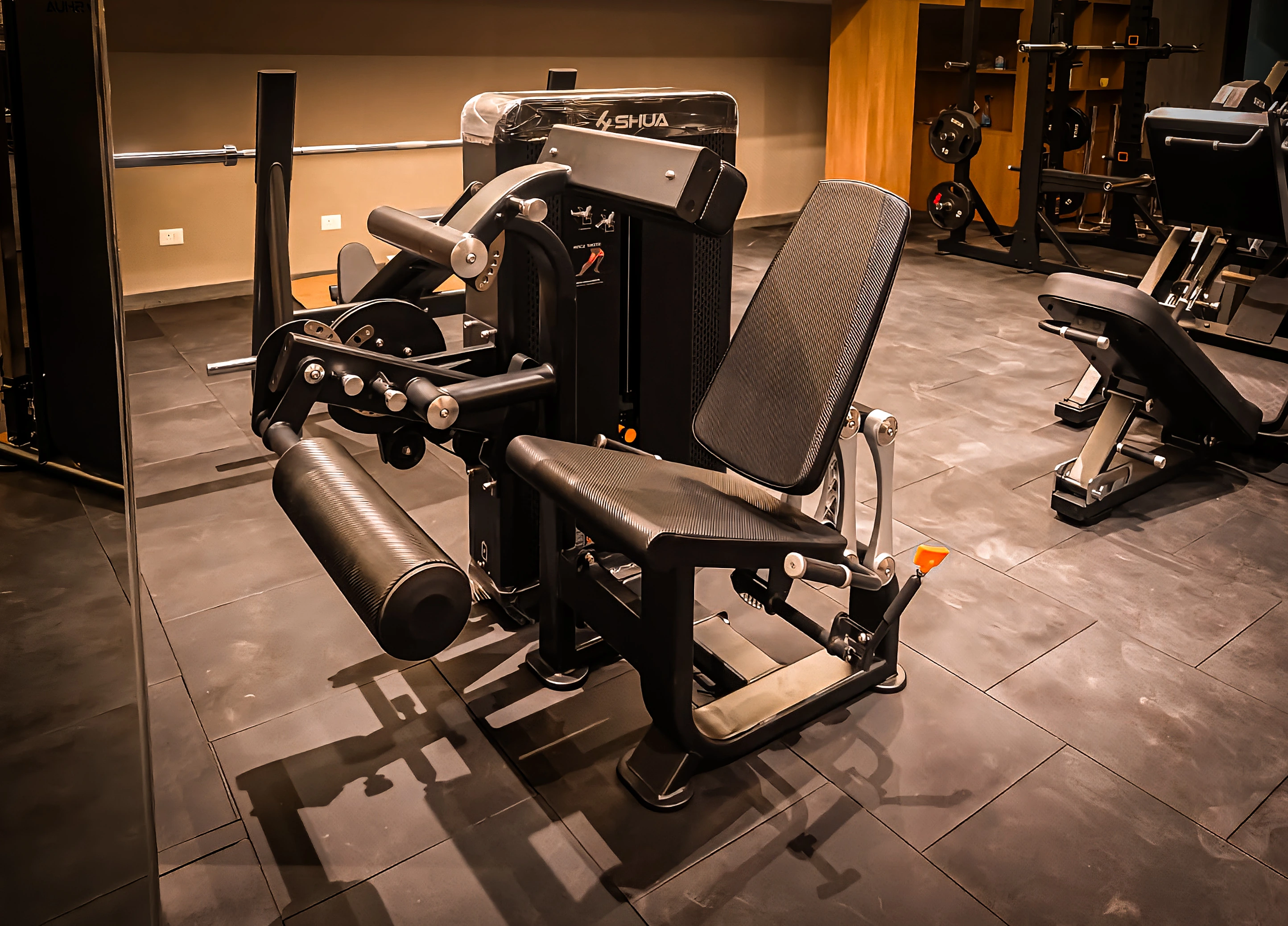 Actual SHUA strength press equipment at ZOI